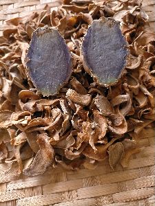 Black Turmeric