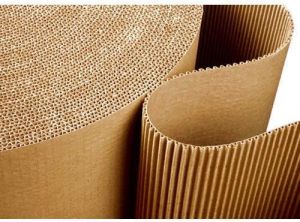 Cardboard Sheet Roll