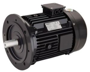 Induction Motor