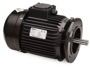 Paddle Wheel Aerator Motor