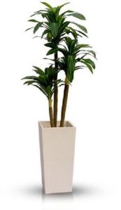 Artificial Dracaena Tree