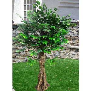 Artificial Ficus Trees