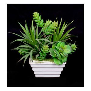 Succulent Plant (SPG-02) Artificial