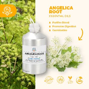 Angelica Oil