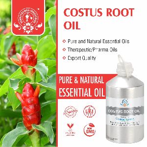 Costus Root Oil