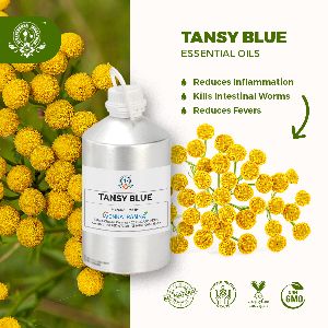 Tansy blue essential oil