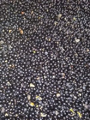 Yellow Shatavari Seeds