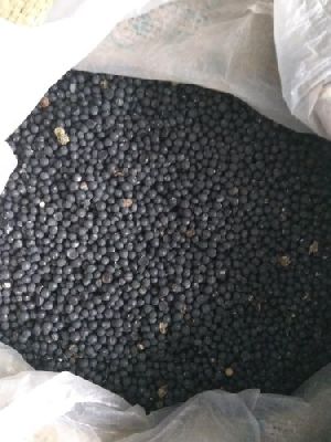 Yellow Shatavari Seeds