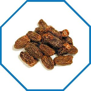 Dry Dates