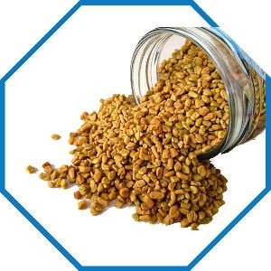 Fenugreek