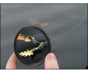 Polarized Light Filters