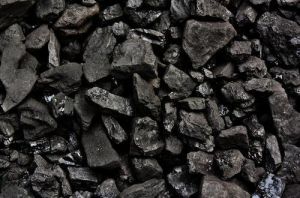 Indigenous Coal