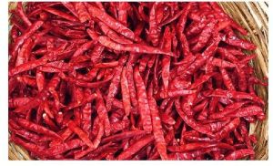 DRY RED CHILLI STEMLESS