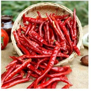 Guntur Teja Dry Red Chilli