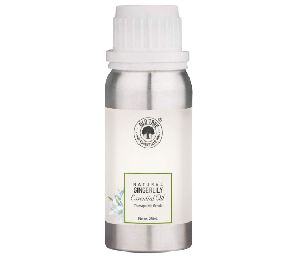 250ml Ginger Lily Oil