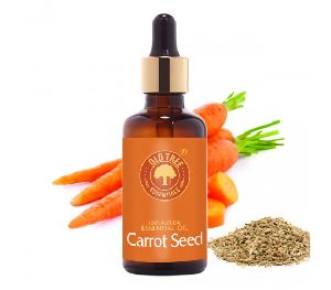 50ml Carrot Seed Oil