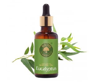 50ml Eucalyptus Oil