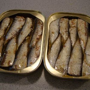 Sardine Fish