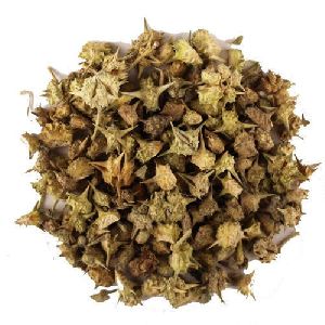 Pure Herbs