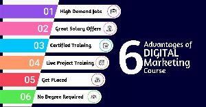 Digital Marketing Basic Course Training Services