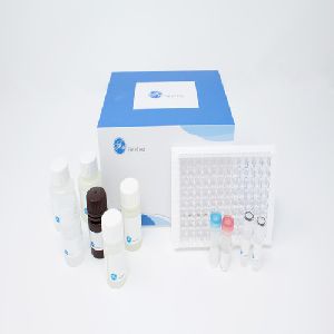 Human IL-6(Interleukin 6) ELISA Kit