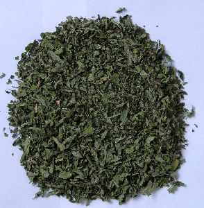 Dried Mint Leaves Tea Cut Size