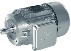 Single Phase AC Synchronous Motor