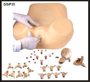 Gynaecological Training Simulator