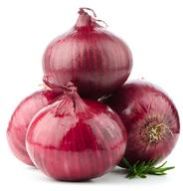 Onion