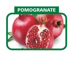 Pomegranate