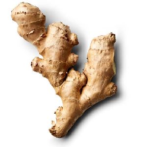 Organic Ginger