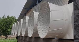 Environment Control Poultry Cone Type Exhaust Fan