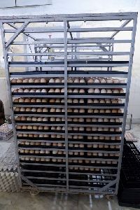 Poultry Incubation Machine
