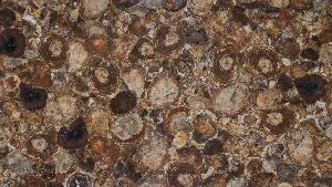 Petrified Wood Semi Precious Stone Slab