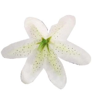 Artificial Lily