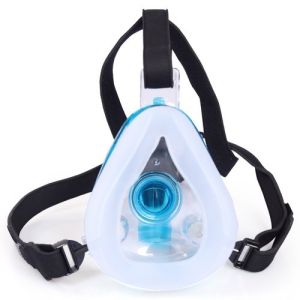 niv mask