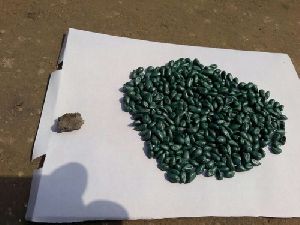 seed coating polymer
