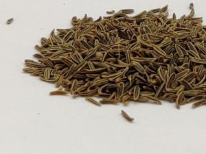 Black Cumin Seeds