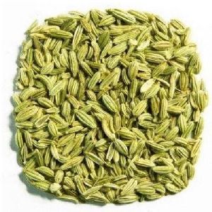 green fennel seeds