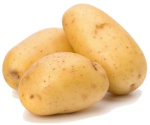 Fresh Potato