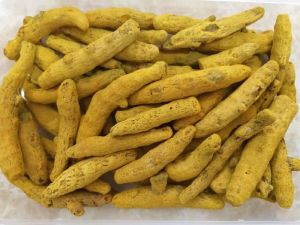 Dry Turmeric Finger