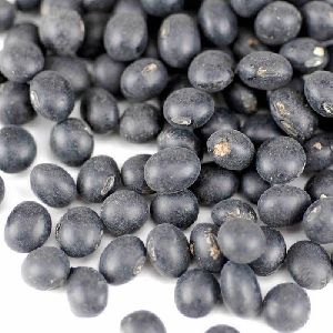 Black Soybean