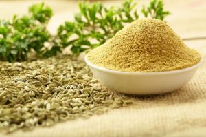 Fennel Powder