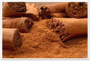 Cinnamon Powder