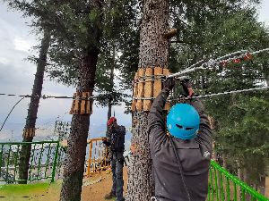 Tree Top Rope Course Setup