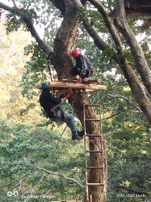 Tree Top Rope Course Setup