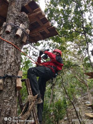 Tree Top Rope Course Setup