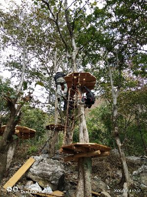 Tree Top Rope Course Setup