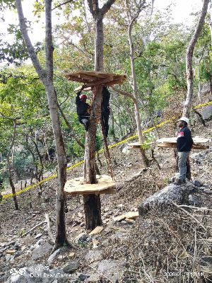 Tree Top Rope Course Setup