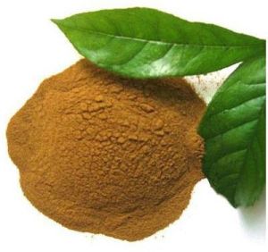 Adhatoda Extract